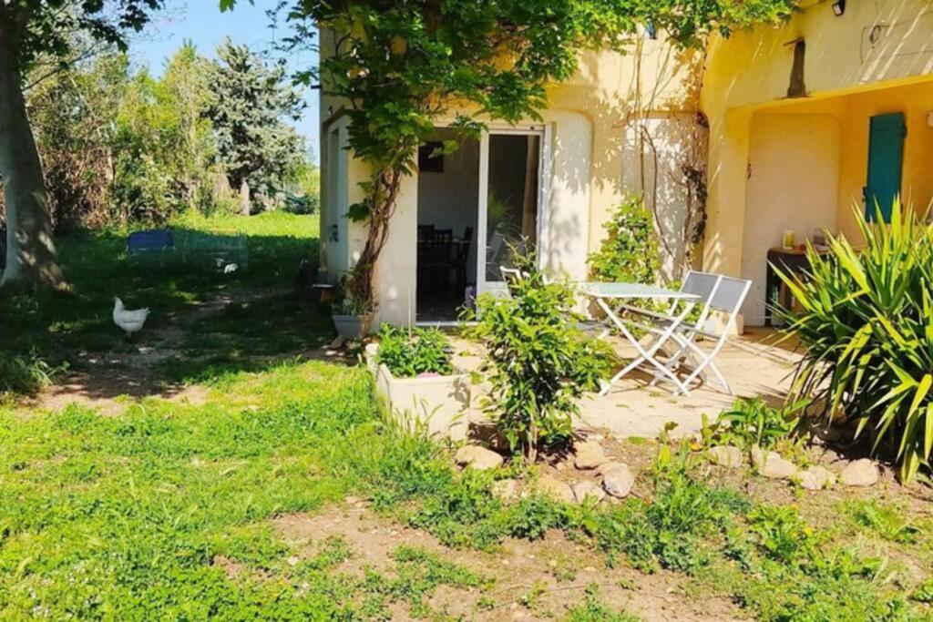 Offrez-Vous Un Sejour Dans Notre Gite A Entressen Une Grande Piscine Pour Se Rafraichir ,Un Espace De Jeux Pour Enfants Pour Des Heures De Divertissement Un Terrain De Petanque Pour Des Parties Endiablees Buitenkant foto